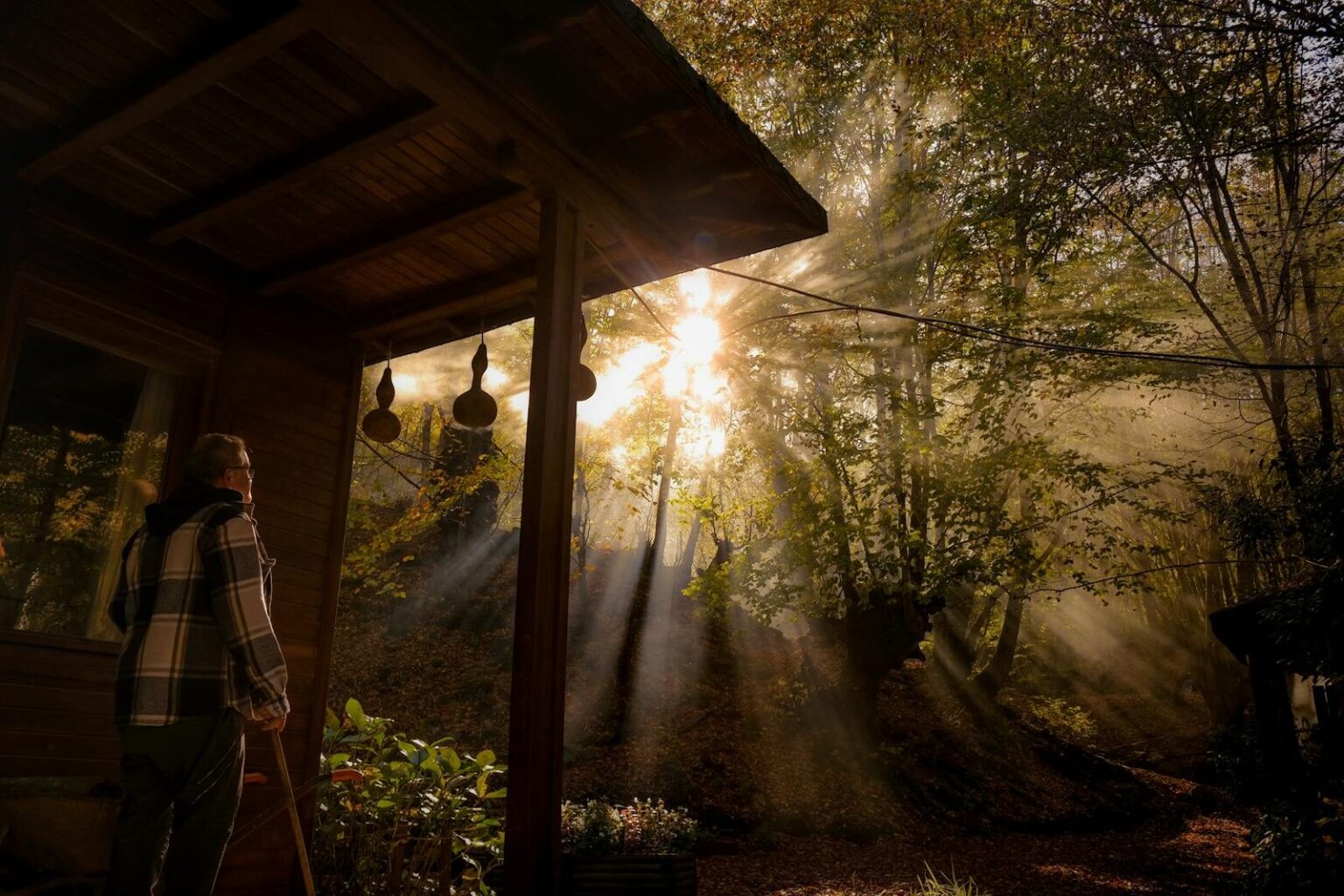 Elderly man enjoying morning light in a forest cabin setting.