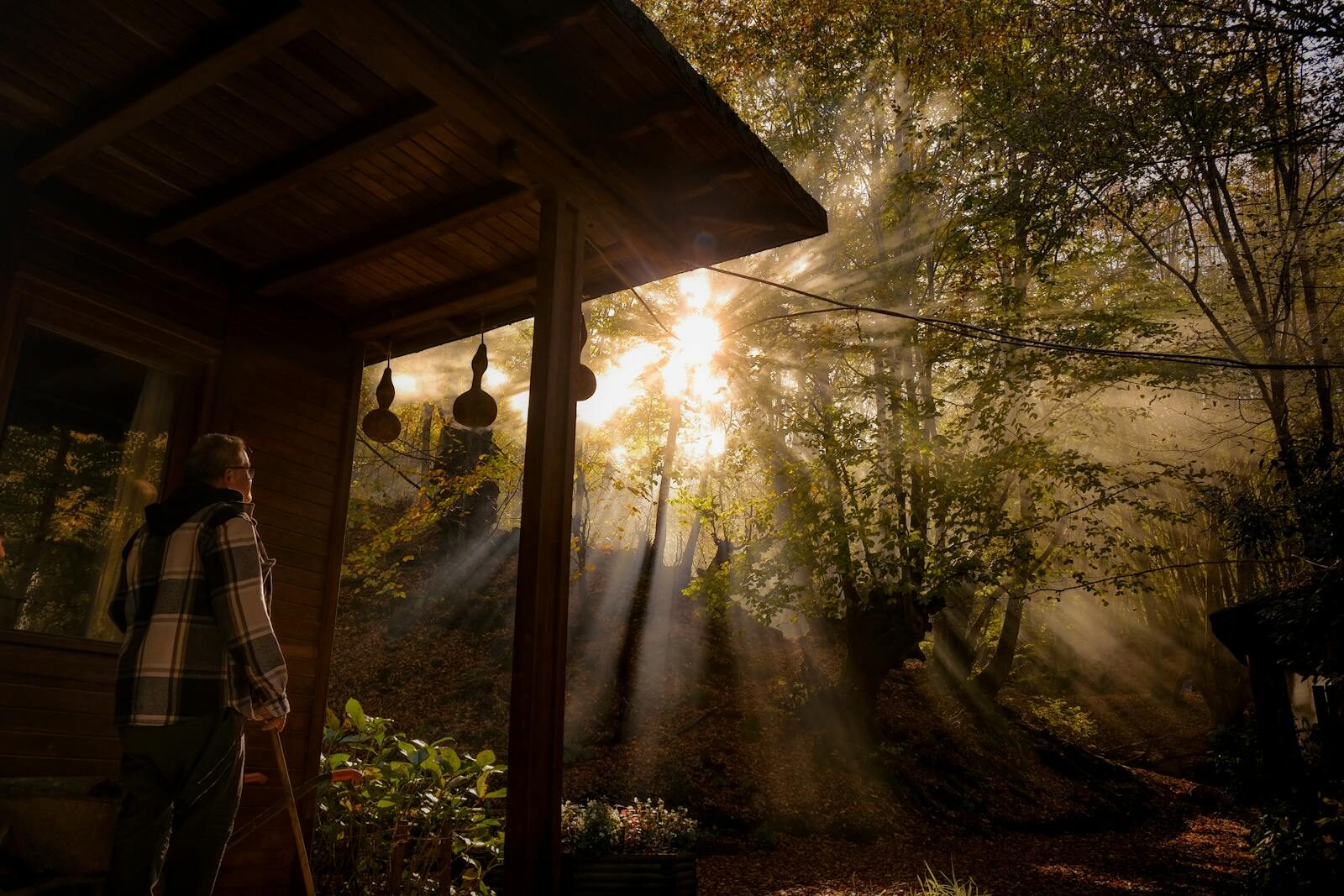 Elderly man enjoying morning light in a forest cabin setting.